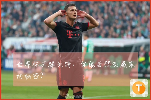 世界杯买球竞猜，你能否预测赢家的秘密？